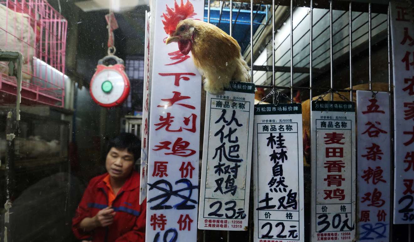 A live poultry vendor sells selling chicken in Haizhu district in Guangzhou in southern China’s Guangdong province in this file photo from May 2014. Photo: K.Y. Cheng