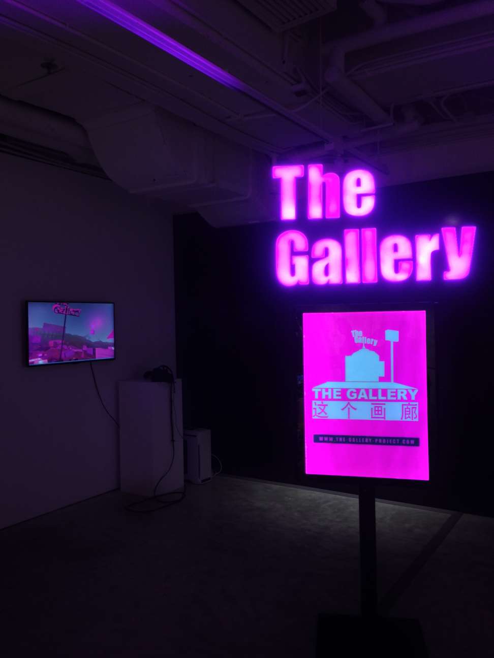 Another view of Wang Xin’s The Gallery (2014-ongoing). Photo: Enid Tsui