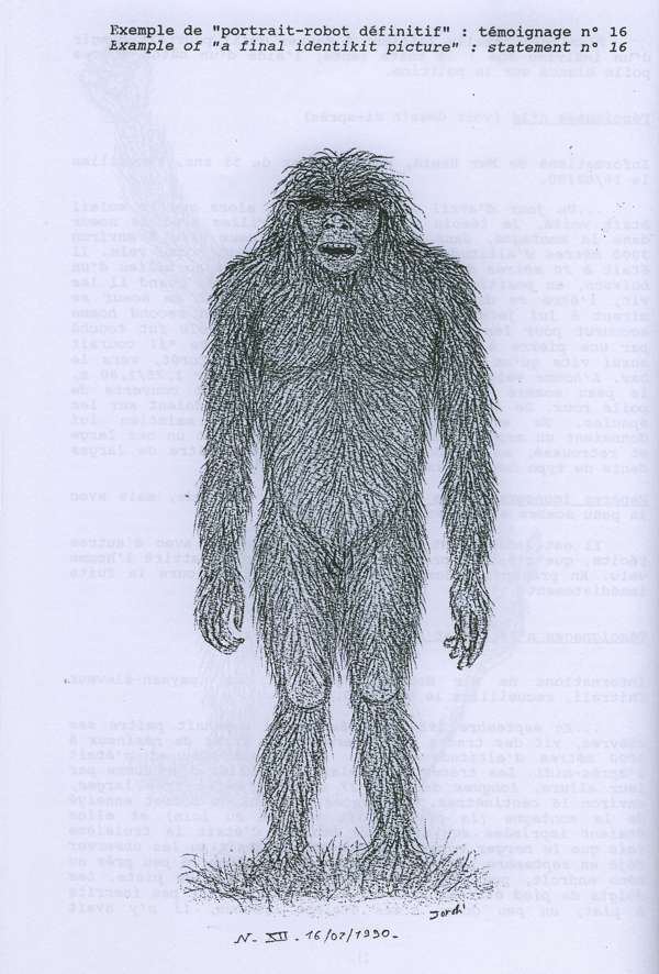 Jordi Magraner's drawing of a hominid, as witnessed in the Hindu Kush, in 1987.