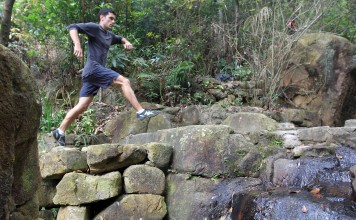 Trail running poses no threat to flora and fauna in country parks. Photo: SCMP Pictures