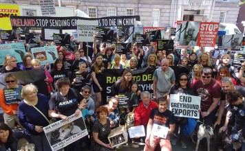 Some 400 people stage a protest in Dublin to urge the Irish government to halt greyhound exports to Macau. Photo: SCMP Pictures