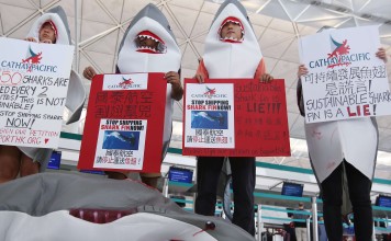 The Cathay U-turn follows protests by environmentalists at its check-in counters at Hong Kong International Airport and petitioning of airline executives by children. Photo: Nora Tam