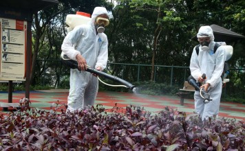 Government workers take preventive action against mosquitoes in Ngau Chi Wan Park in June. Photo: David Wong