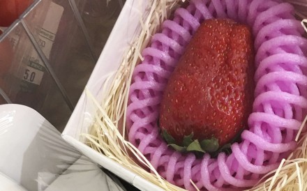 An individually packaged strawberry from Kotoka, Japan, on sale for HK$168 as a Valentine’s Day gift at City’super in Causeway Bay, Hong Kong. Photo : SCMP