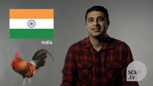 How do people from around the world interpret animal sounds?