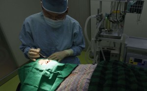 China is tipped to become the world’s third largest cosmetic surgery market by 2019. Photo: Reuters China is tipped to become the world’s third largest cosmetic surgery market by 2019. Photo: Reuters