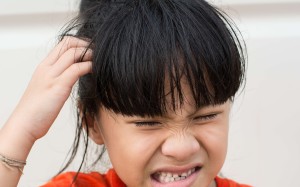 This Shutterstock image shows a girl with headlice. [FEATURES]