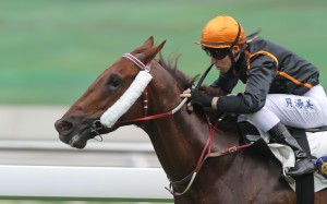 Tommy Berry and Able Friend. Photos: Kenneth Chan