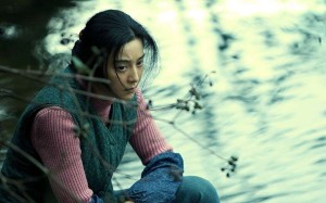 Political indifference to human rights is examined in Feng Xiaogang’s tale of a village woman’s search for justice in the bureaucracy of mainland China Political indifference to human rights is examined in Feng Xiaogang’s tale of a village woman’s search for justice in the bureaucracy of mainland China