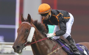 Joao Moreira will ride Able Friend in the Hong Kong Mile. Photos: Kenneth Chan