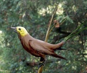 An artist’s impression of the Eoconfuciusornis, an extinct bird that lived 130 million years ago, during the Early Cretaceous period. Photo: Chinese Academy of Sciences