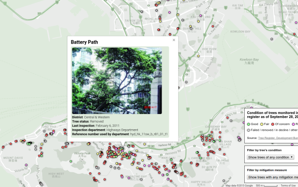 Tracking the health of Hong Kong's trees: an interactive map
