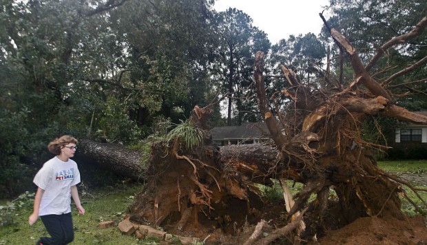Hurricane Hermine batters Florida and raises fear of spread of Zika virus