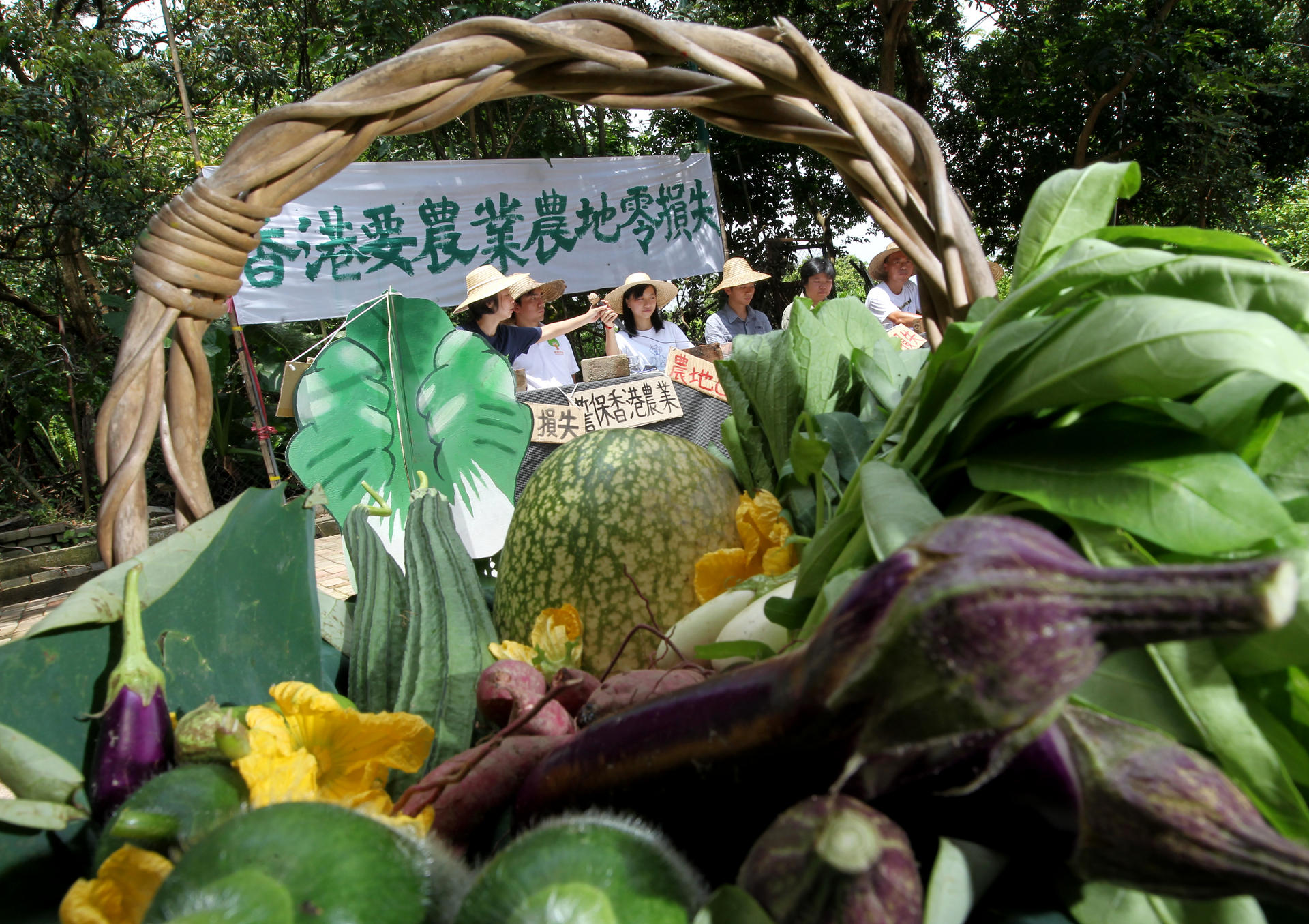 Green groups yesterday urge the government to conserve farmland in the northeastern New Territories. Photo: K.Y. Cheng
