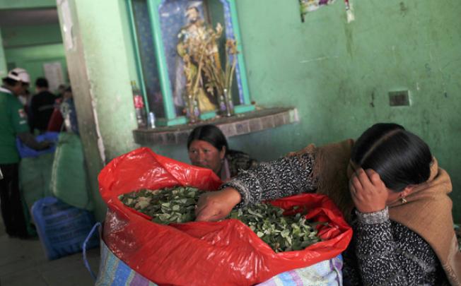 A coca vendor sits with her bag of leaves as she waits for clients inside a legal coca leaf market, in La Paz, Bolivia, on Monday. Photo: AP