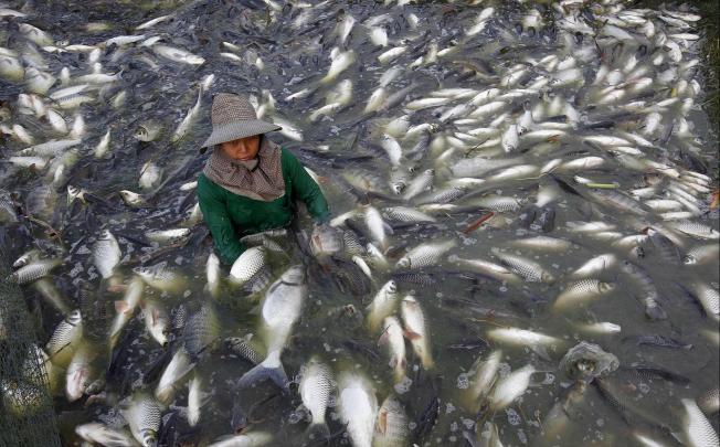 Thai fishermen may be among the exporters in developing countries who will continue to suffer from growth uncertainties in the Asia-Pacific. Photo: Reuters