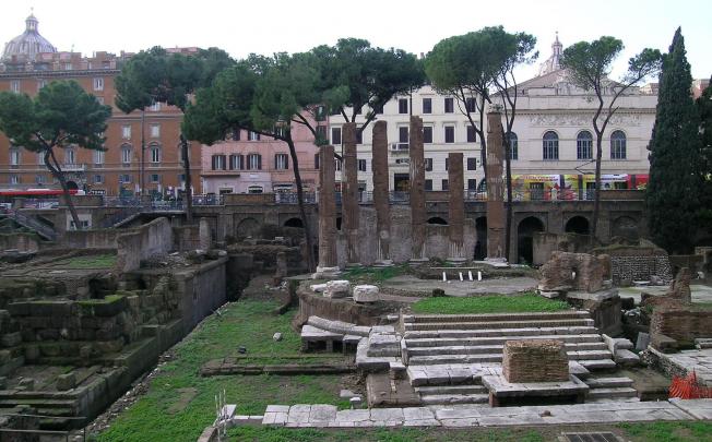A picture released by the Spanish National Research Council shows the spot where Julius Caesar is believed to have been attacked, at the foot of the Curia of Pompey. Photo: AFP