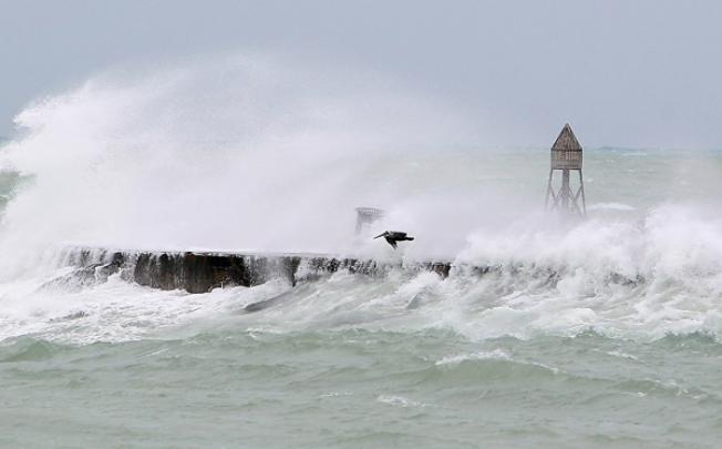 A pelican flies with the wind produced by hurricane Sandy's outer bands at Haulover Beach on Thursday in Miami. Photo: AP