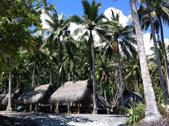 Thatched huts amid palm trees on Nusa Penida.Photo: Samantha Brown