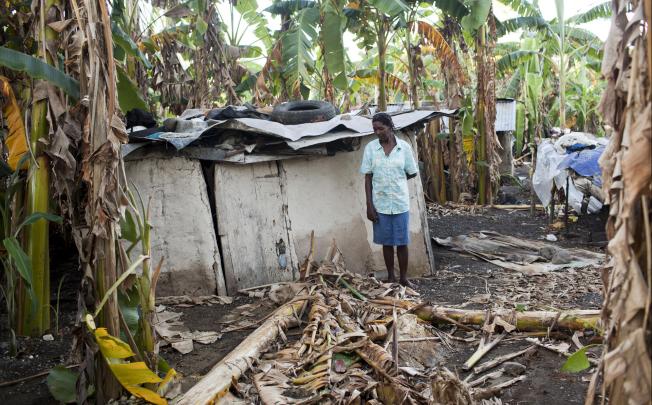 Hurricane Sandy ravaged much of Haiti's agriculture. Photo: NYT