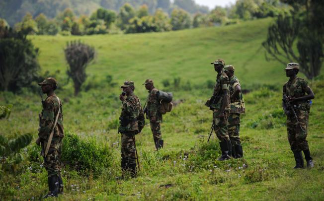 M23 rebels gather at a small base in the hills of Kanyarucinya near Goma, east of the Democratic Republic of the Congo. Photo: AFP