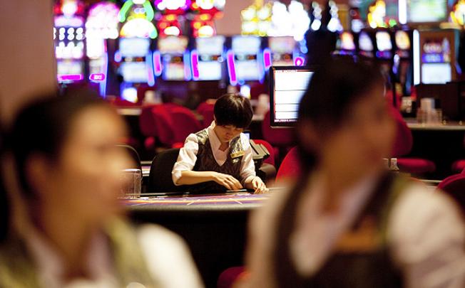 Revenue from gambling in Macau rose 8pc in November. Photo: Bloomberg