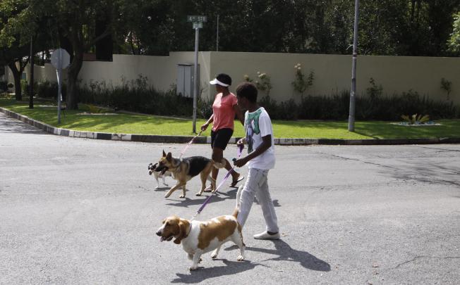 People walk their dogs outside the home of former president Nelson Mandela in Johannesburg. President Jacob Zuma made critical remarks about pet care that touch on sensitive race relations in South Africa. Photo: AP