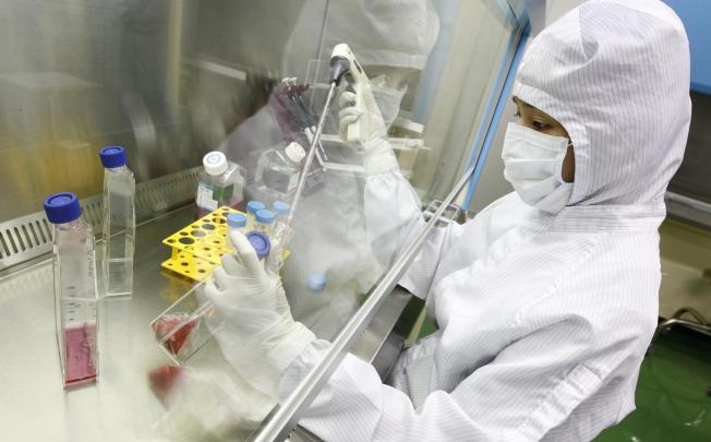 A stem cell researcher in Seoul. Photo: Reuters