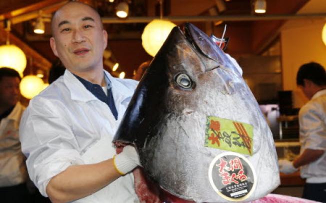 A Japanese man poses with a head of a bluefin tuna at Sushi Zanmai restaurant near a fish market in Tokyo. Experts are worried about decling tuna stocks. Photo: AFP