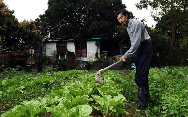 Farmer Leung Chi-wan works some organic magic on his farm in Kam Sheung Road, Yuen Long, which the public are welcome to visit. Photo: Sam Tsang