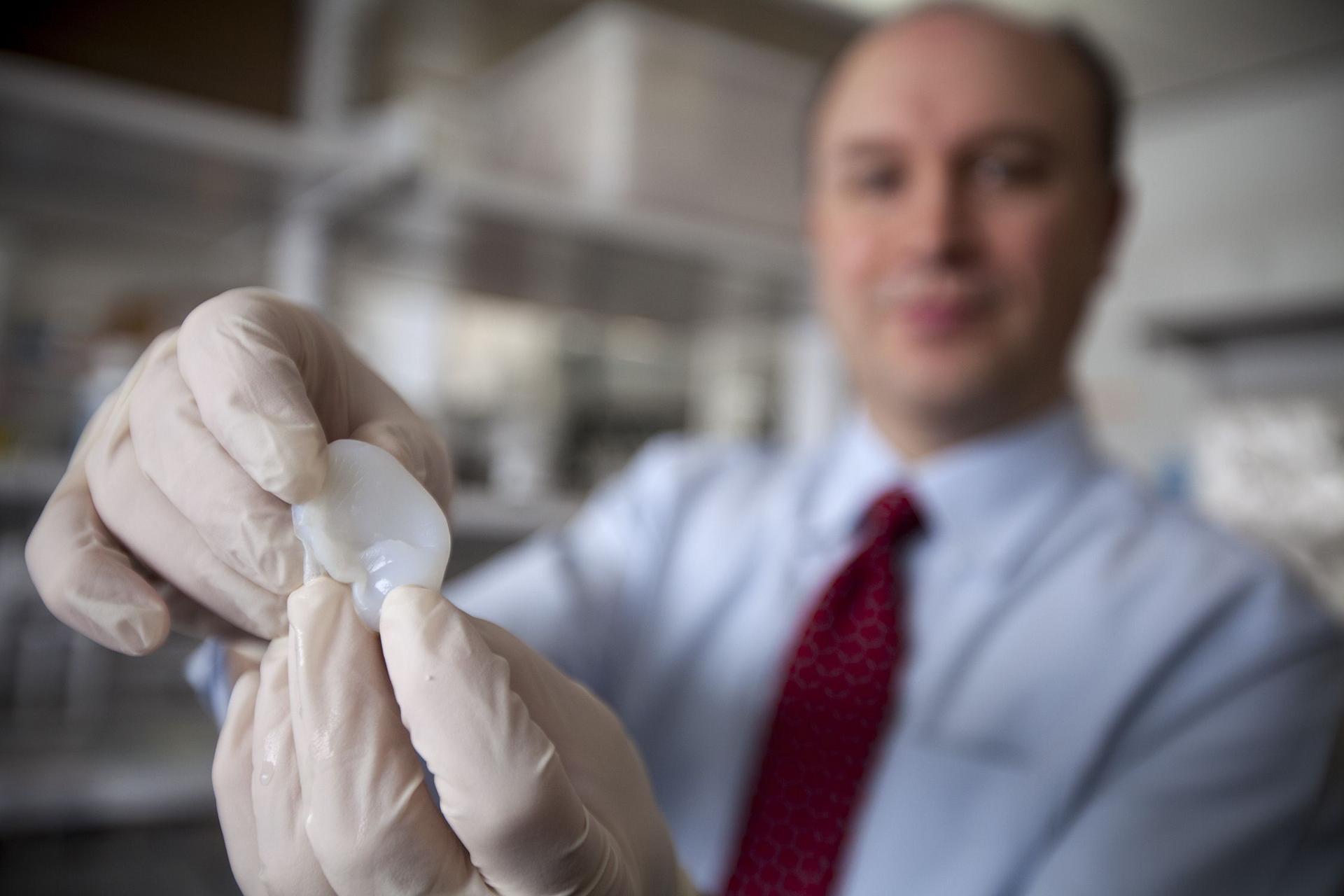 Lawrence Bonassar of Cornell University shows the ear made by a 3-D printer. Photo: AFP