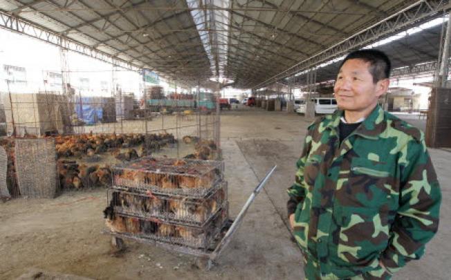 A man, involved in the chicken business for 16 years, watches as Zijinshan market closes down on Saturday morning due to concerns about avian flu. Photo: Simon Song