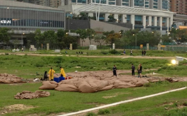 Photo of deflated pile of poo, aka work of art entitled Complex Pile, that went viral on social media.