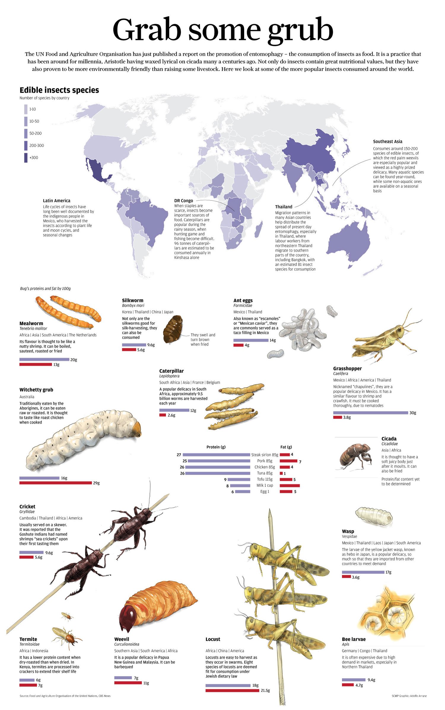 Entomophagy, the consumption of insects as food