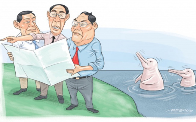 Nature needs a voice in Hong Kong to protect Chinese white dolphins