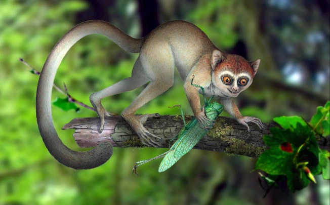 An artist's rendering of the animal in its habitat. Photo: AP