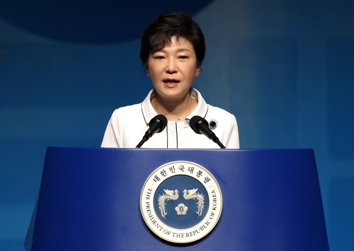 South Korean President Park Geun-hye. Photo: Xinhua