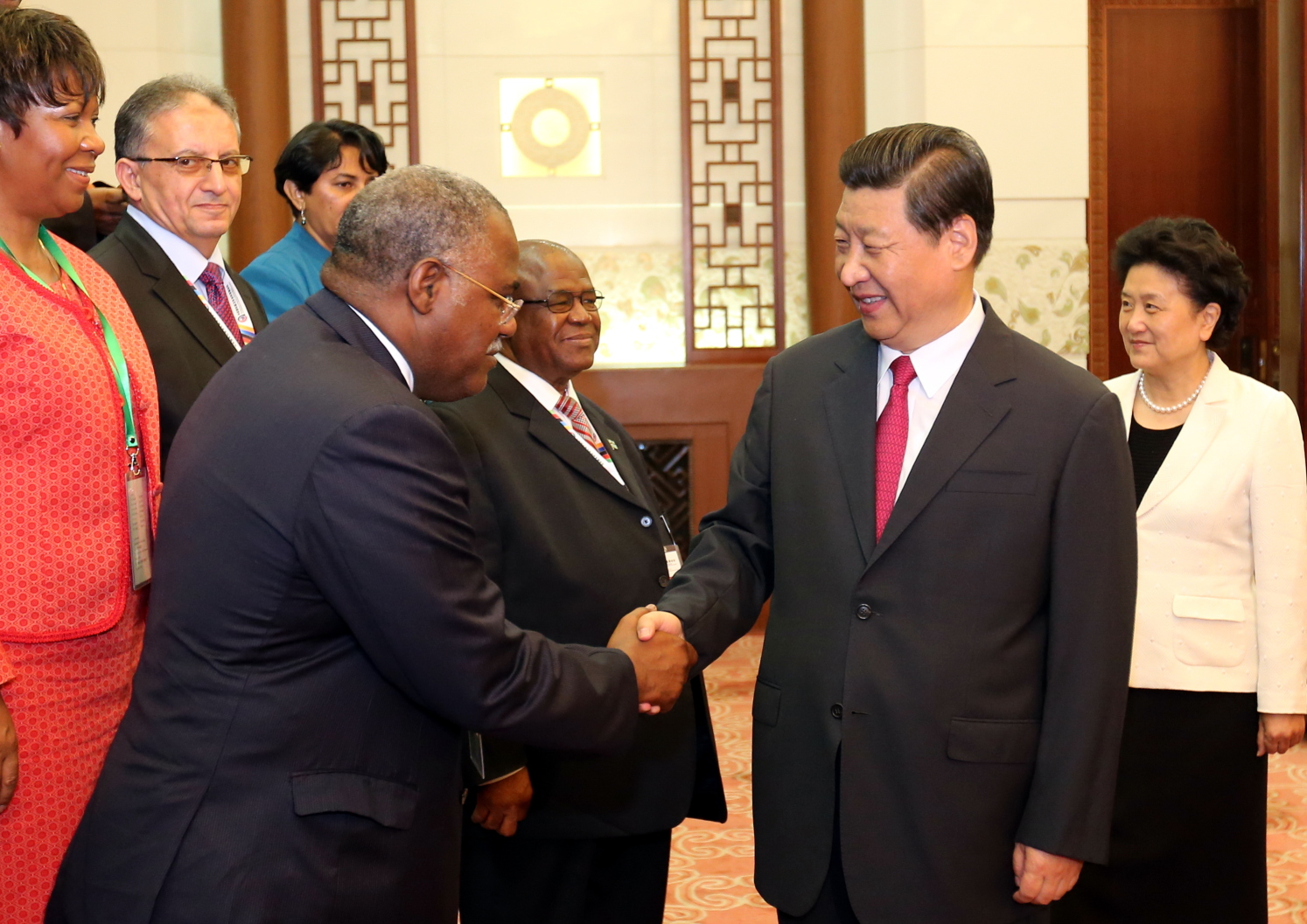 Chinese President Xi Jinping meets with delegates attending the Ministerial Forum of the China-Africa Health Development in Beijing. Photo: Xinhua
