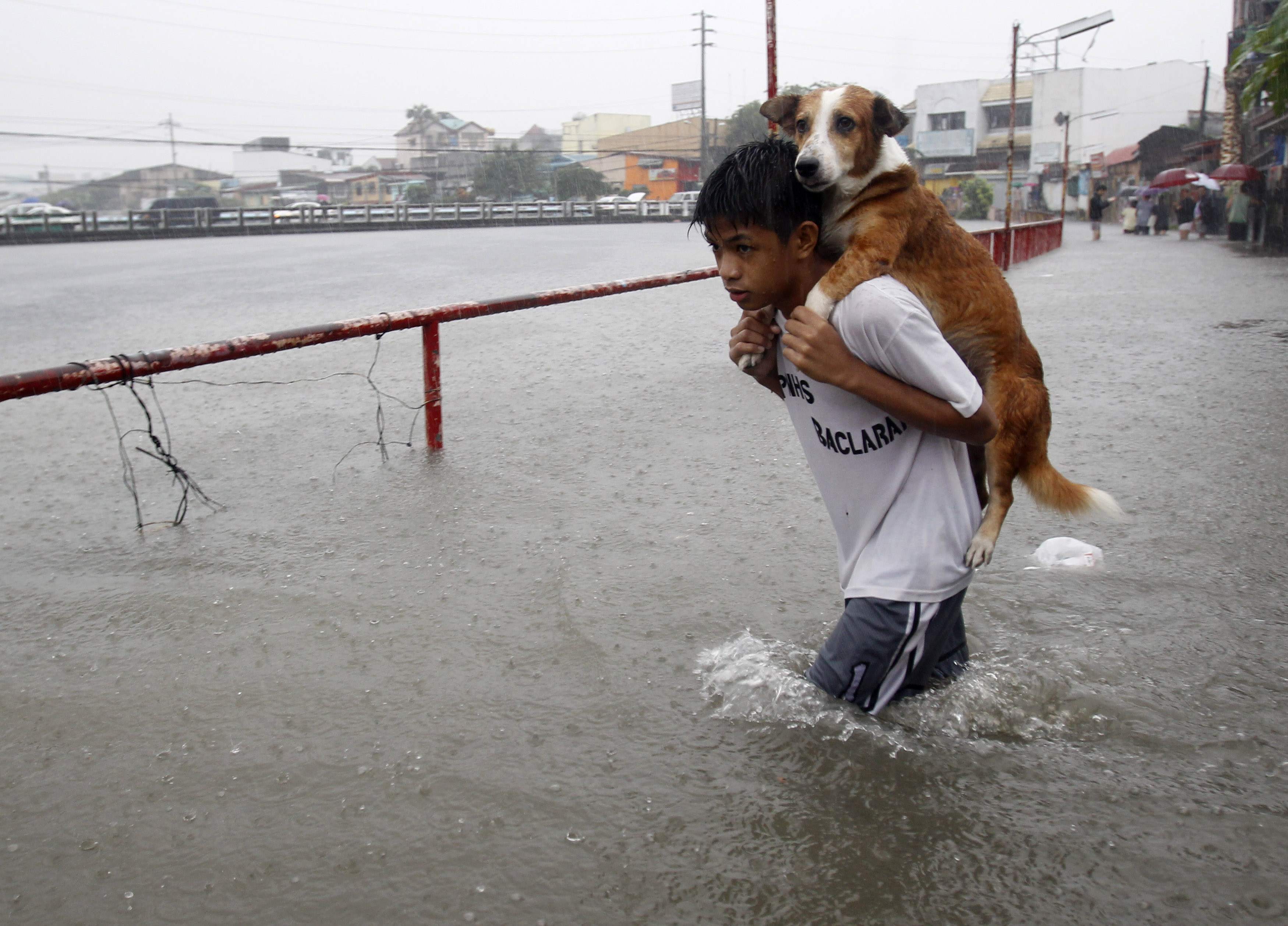 A boy carries his dog whilst wading in floodwaters brought by the monsoon rain. Photo: Reuters