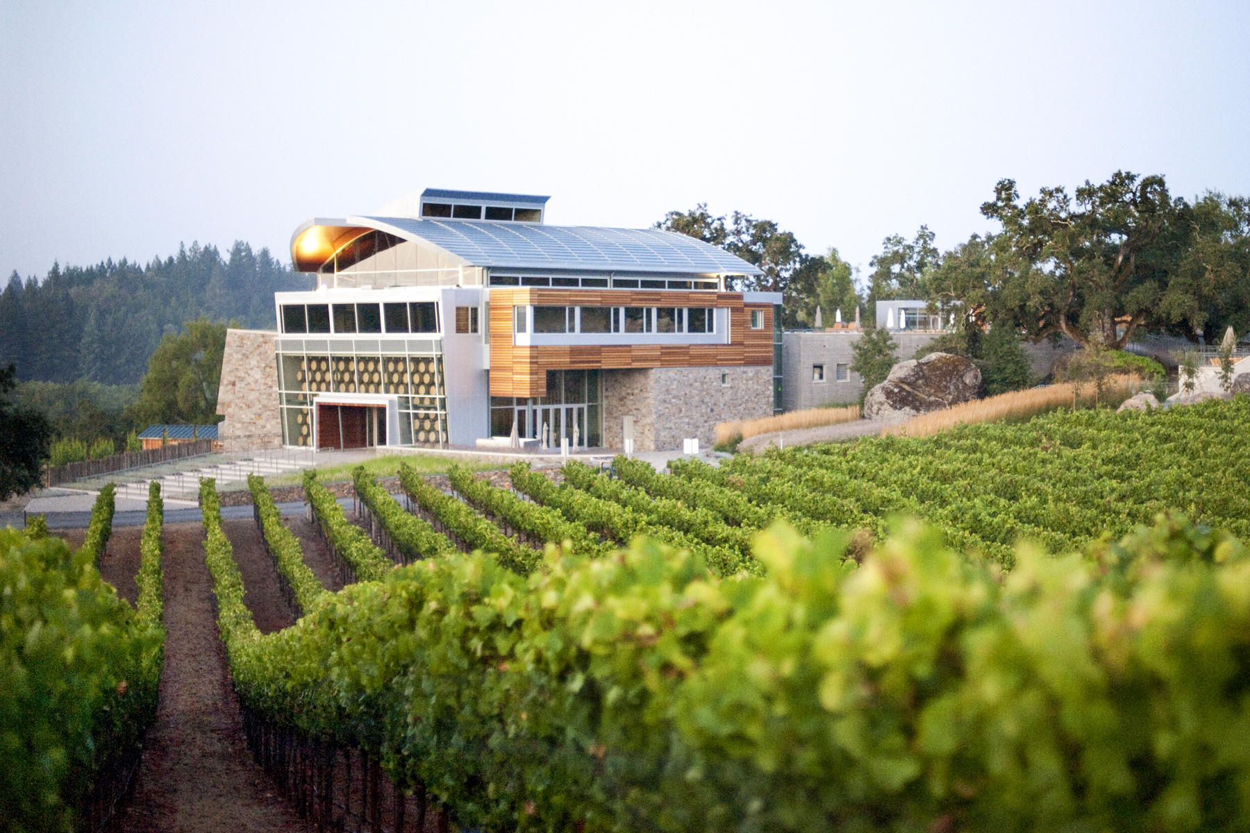 Williams Selyem Estate winery and vineyard