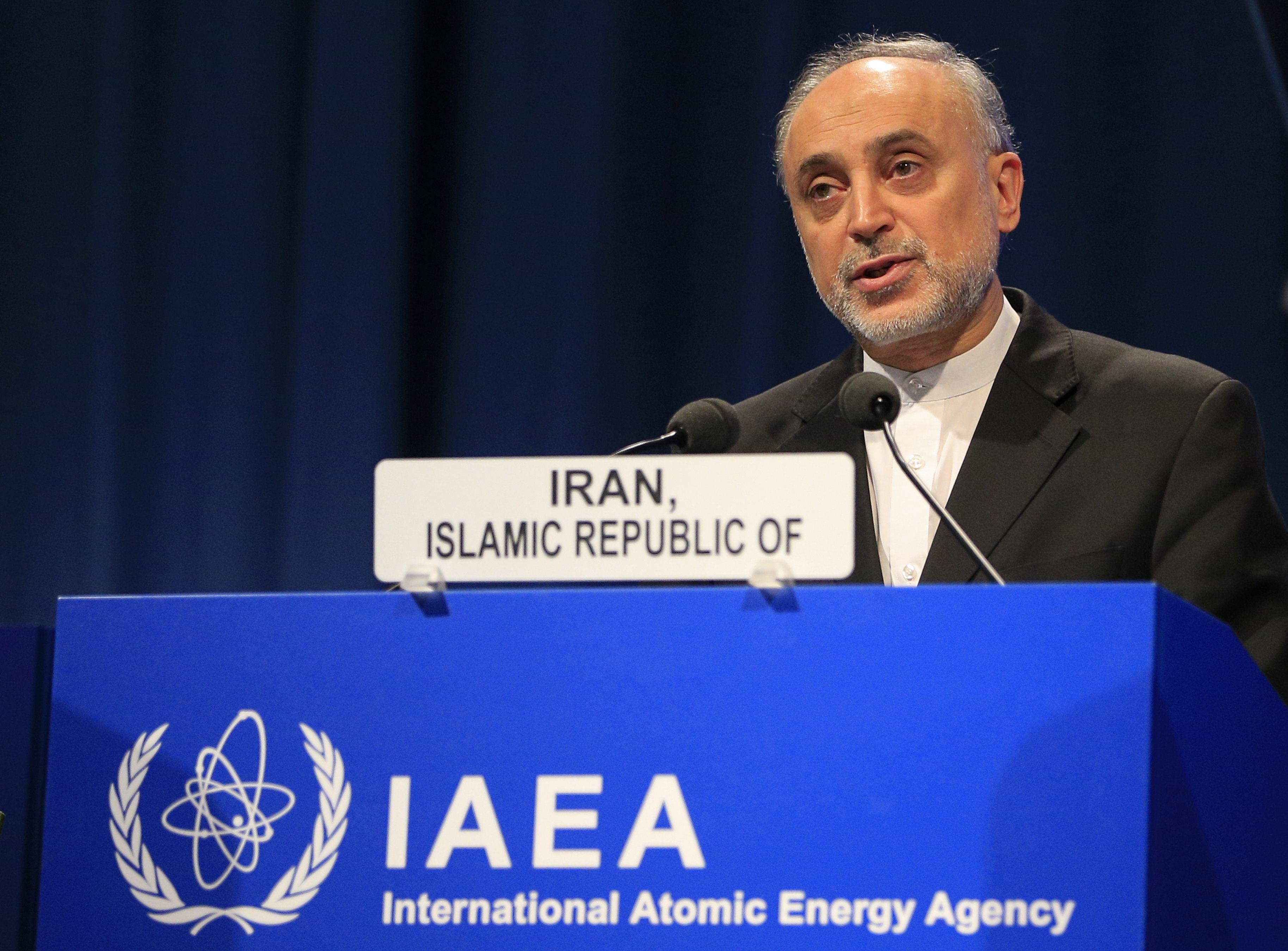 Iran's Atomic Energy Organisation president and Iran Vice President Ali Akbar Salehi. Photo: AFP