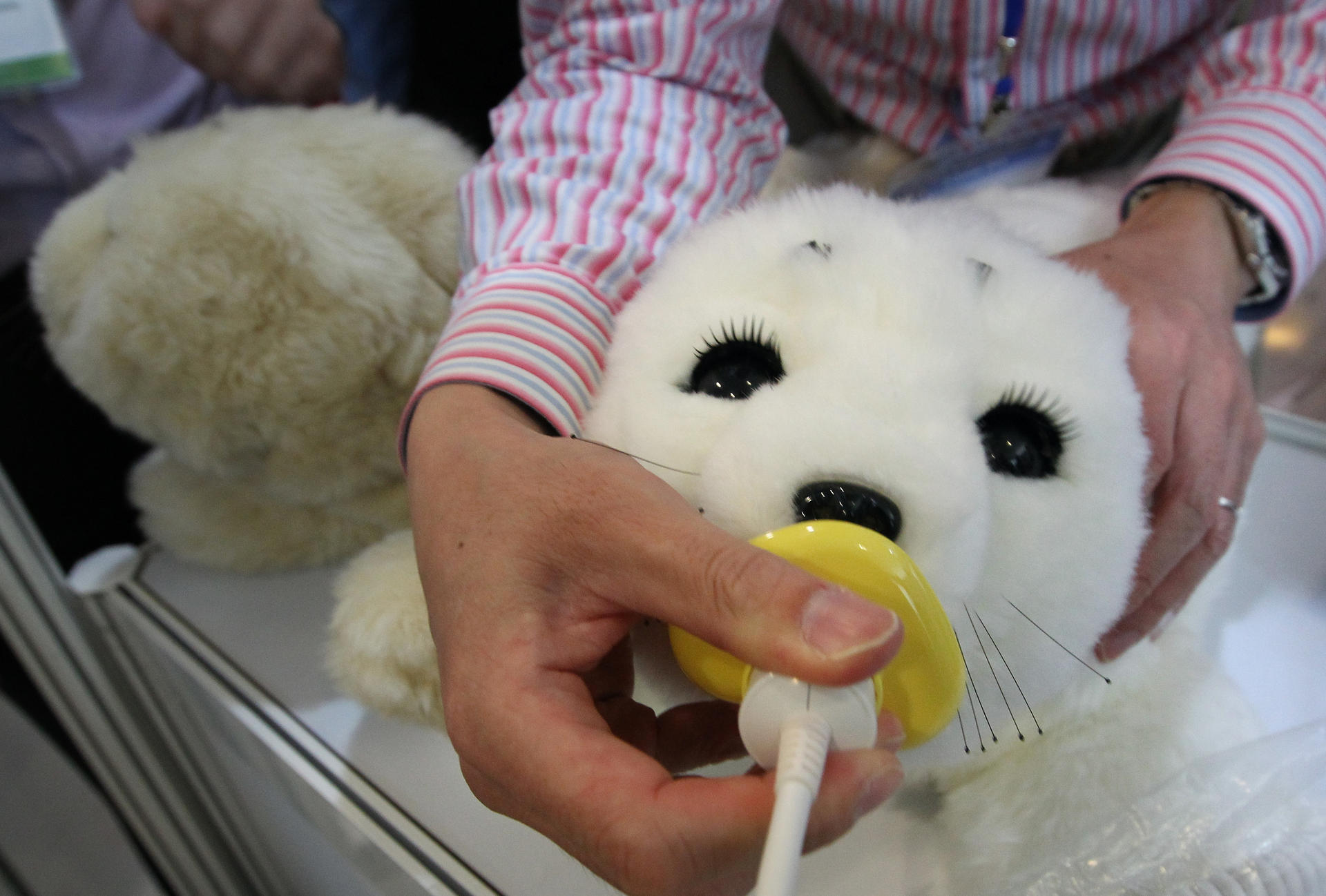 Robotic seal patients' approval | South China Morning Post