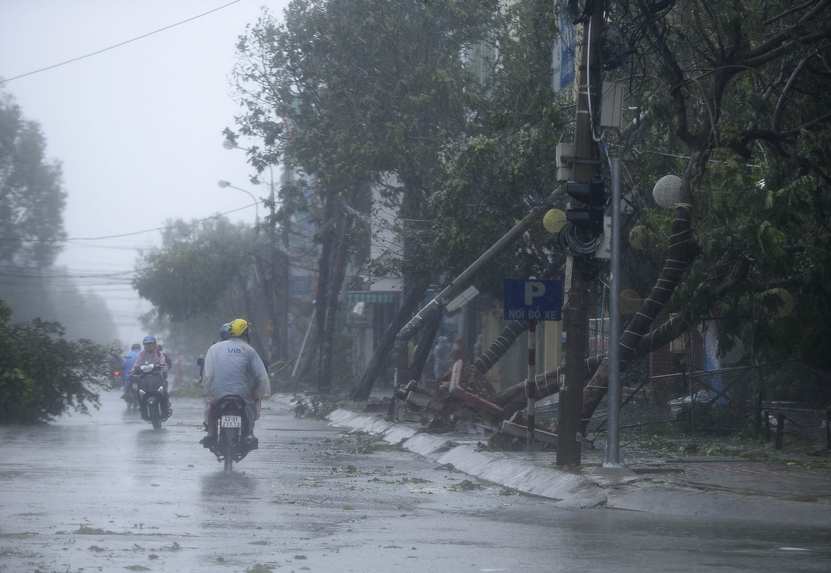 Motorcyclists ride past along fallen trees, caused by Typhoon Nari, along a street in Vietnam's central Danang city. Photo: Reuters