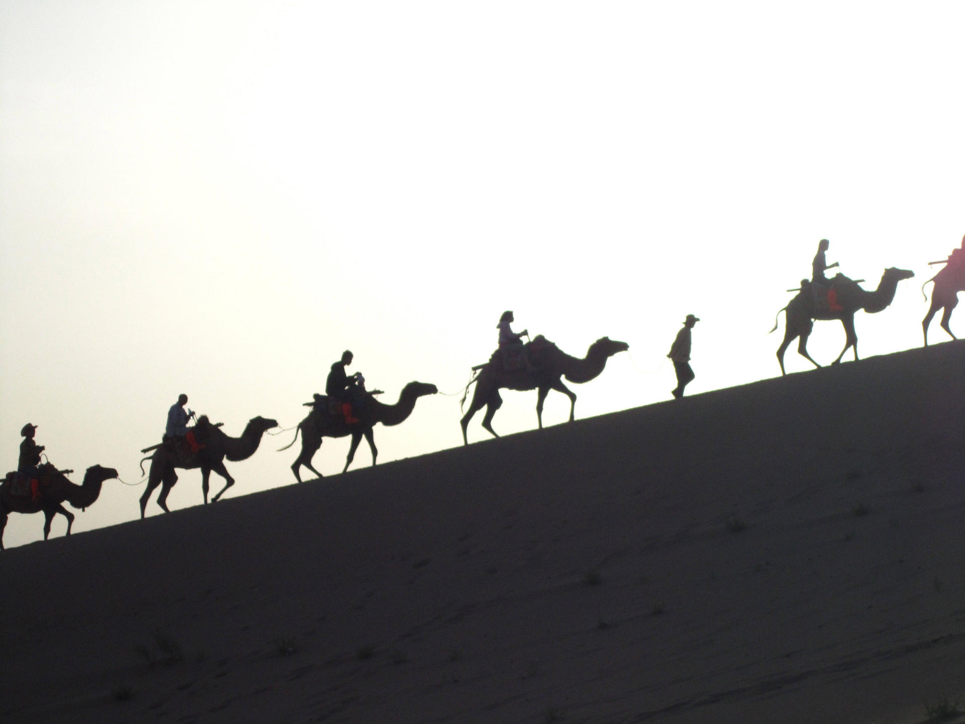 Rush hour: flocking to the sights in Dunhuang. Photo: Cecilie Gamst Berg