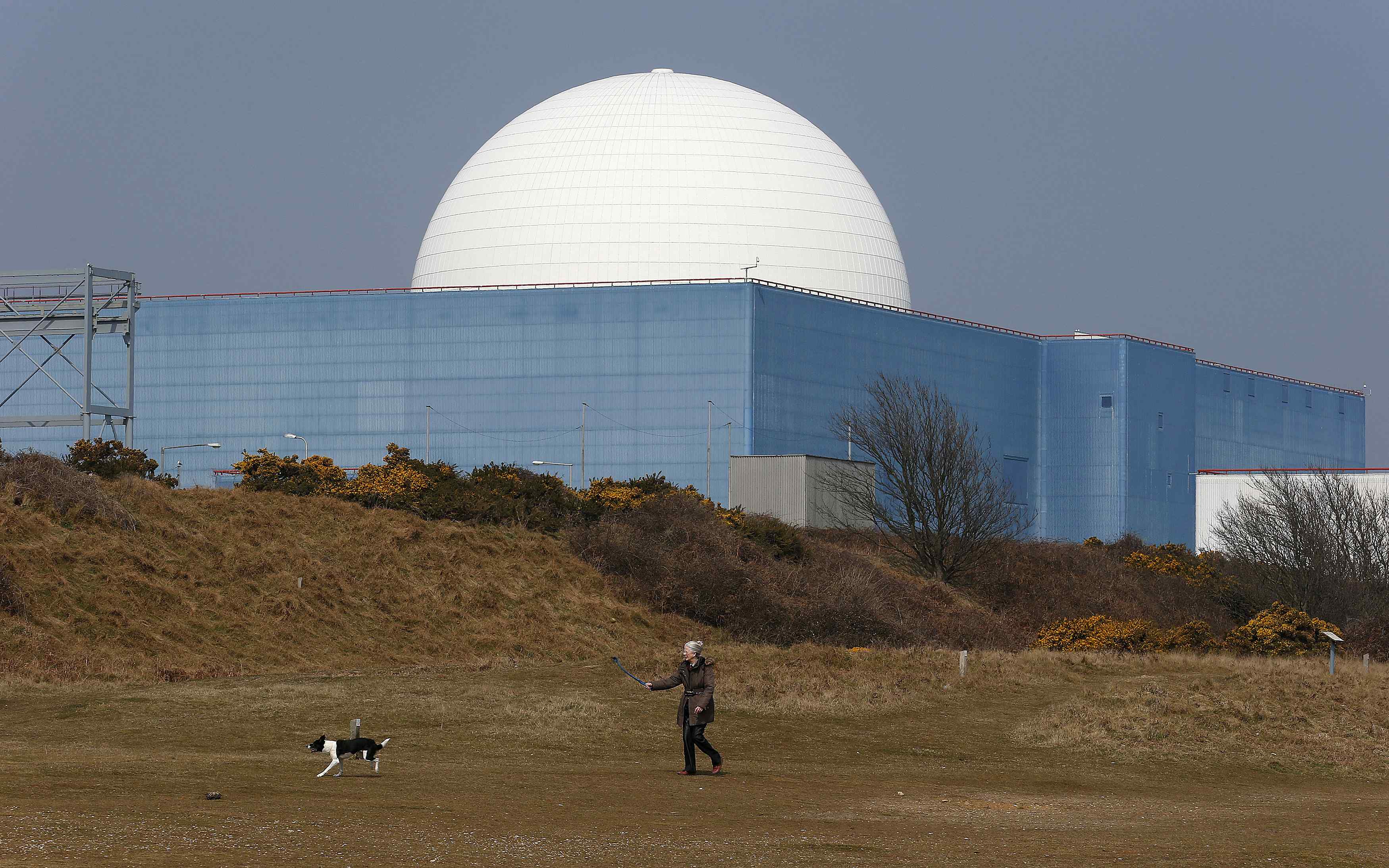 Sizewell B nuclear power station in Suffolk, southeast England April 10, 2013. Photo: Reuters