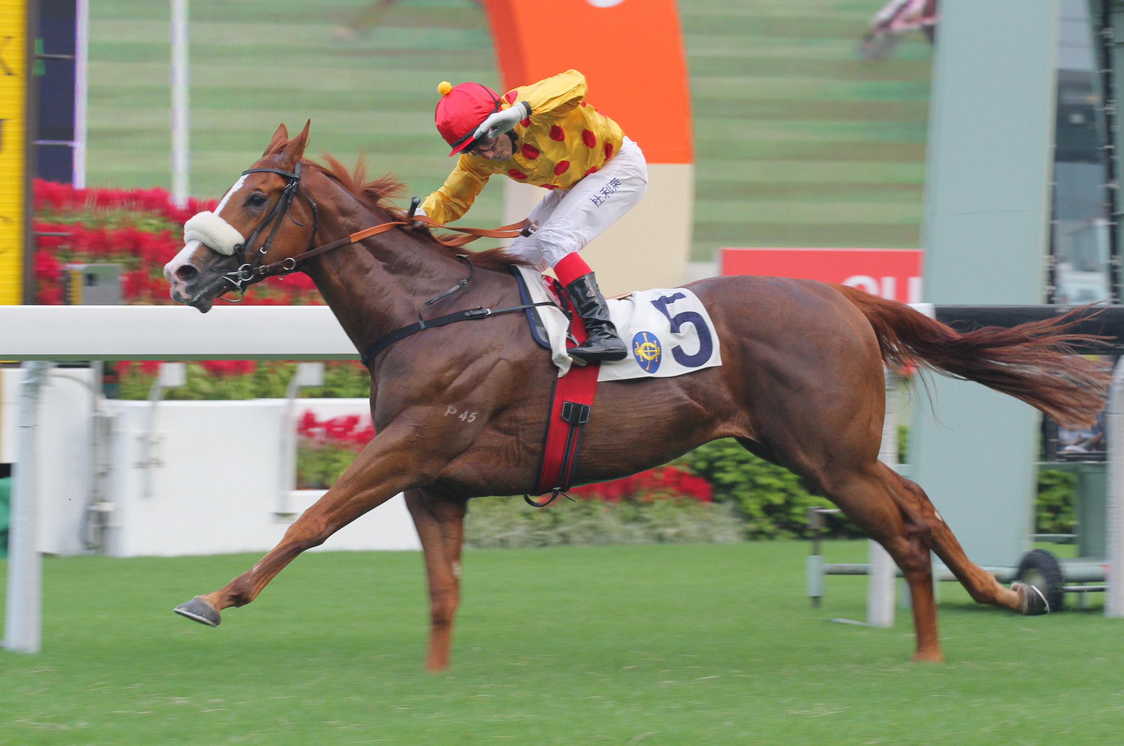 Gold-Fun, ridden by Olivier Doleuze, wins the National Day Cup. Photo: Kenneth Chan