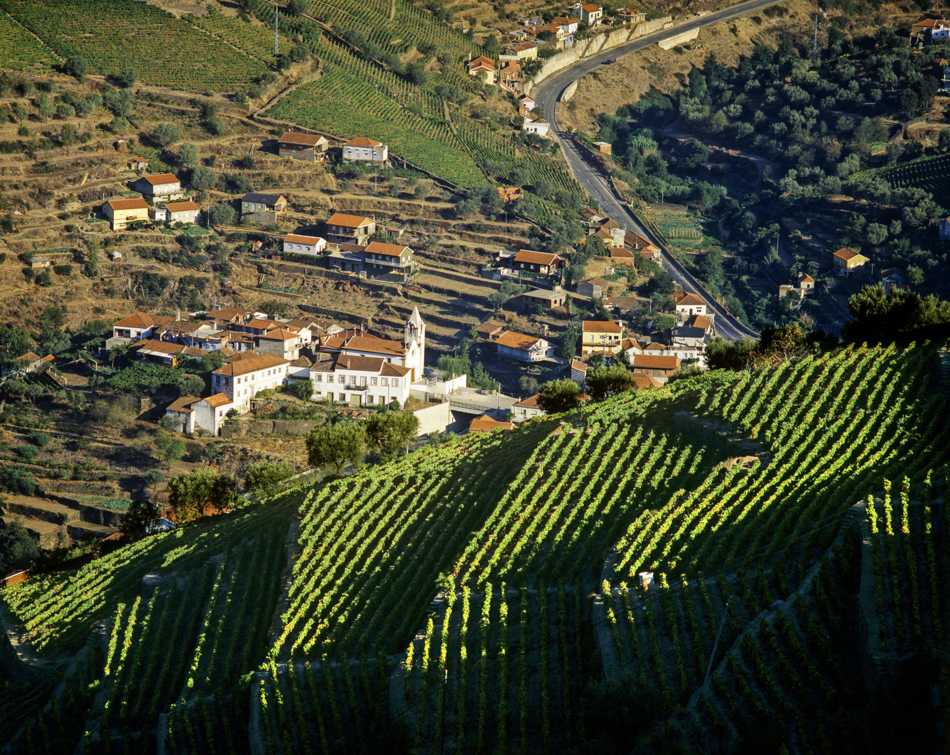 Vineyards in Portugal's Douro region, home of the famed Port wine and a Unesco World Heritage Site. Photo: Mauricio Abreu
