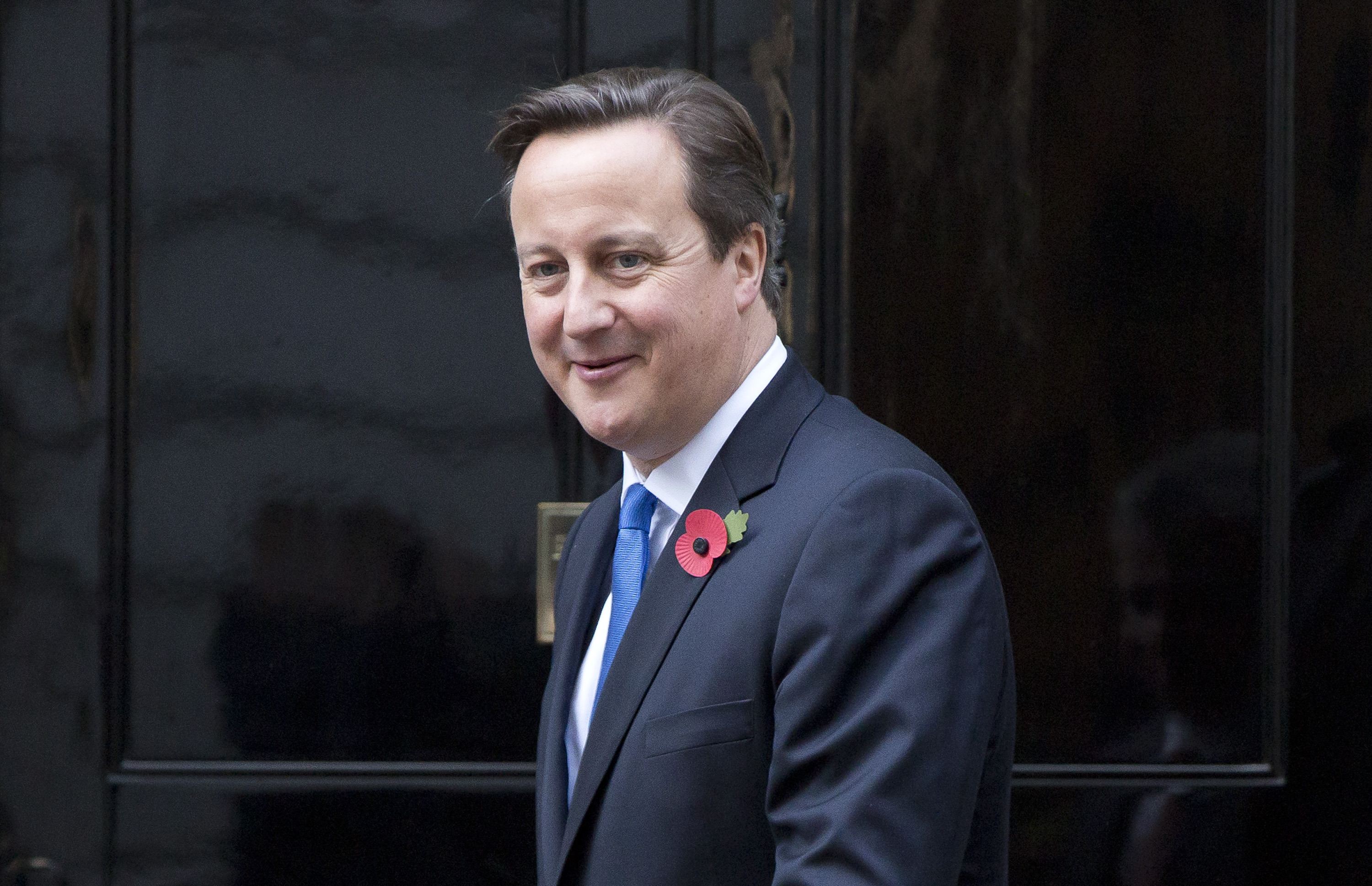 Britain's Prime Minister David Cameron has pledged to win back some powers from the EU. Photo: Reuters
