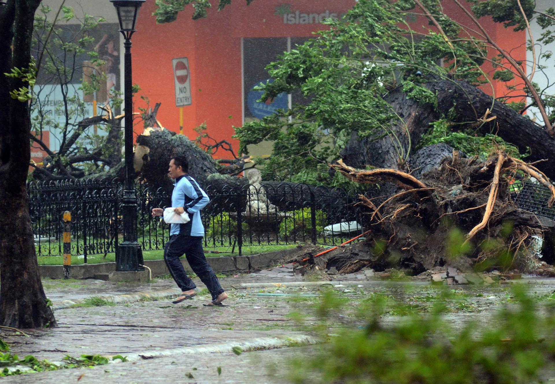A resident runs past an uprooted tree amid strong winds as Typhoon Haiyan pounded Cebu. Photo: AFP