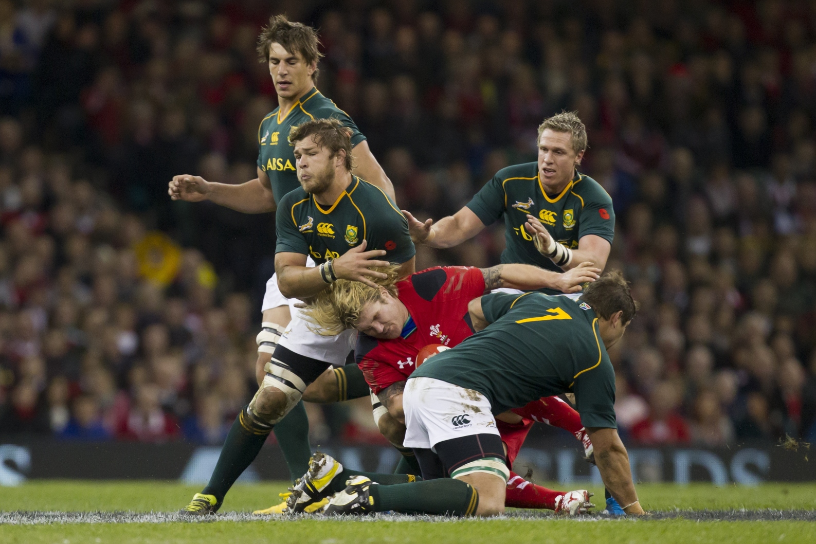 The Springboks playing Wales. Their next challenge will be against Scotland. Photo: AP